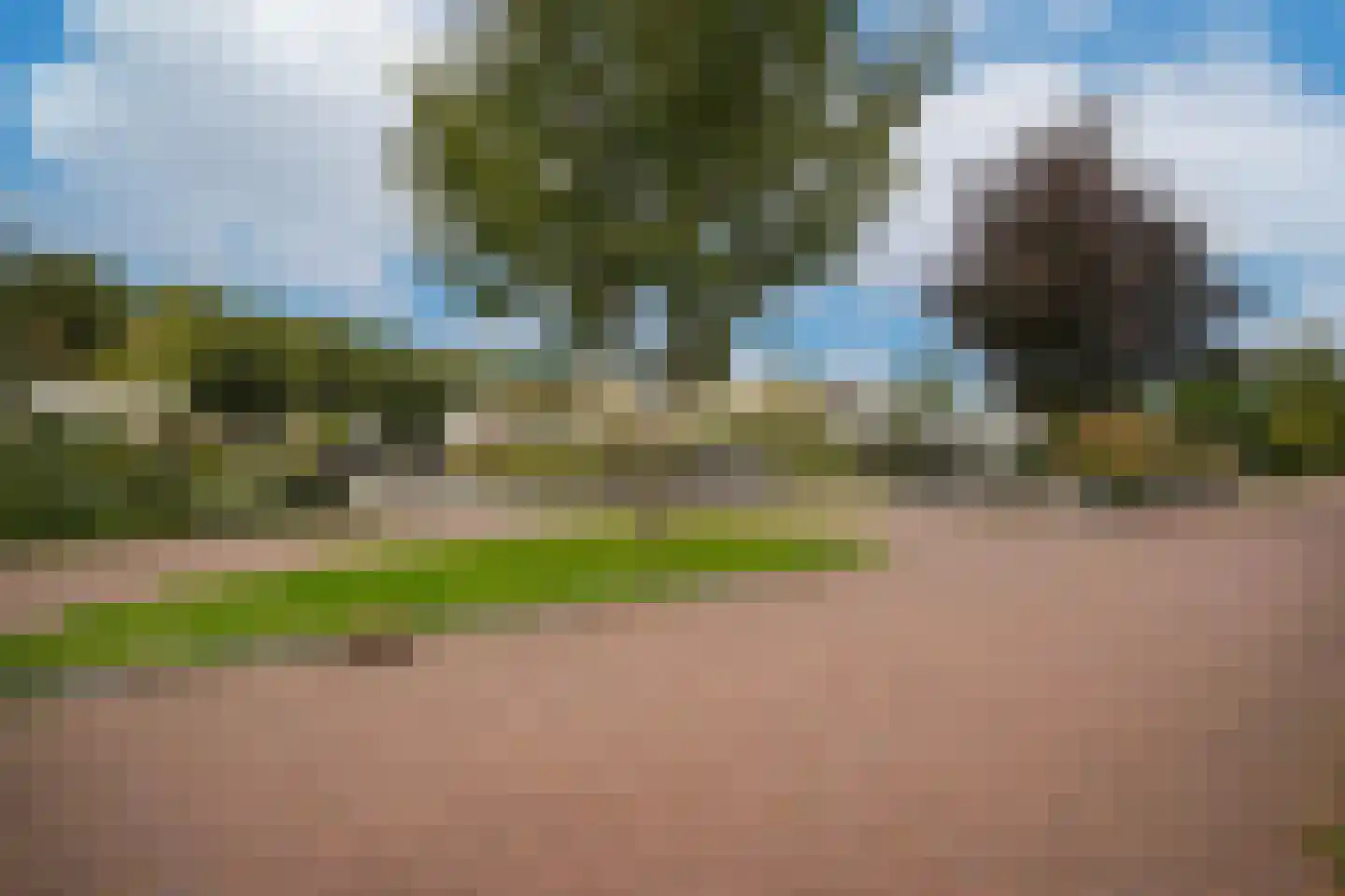 Bomela 14 Zaltbommel thumbnail 56