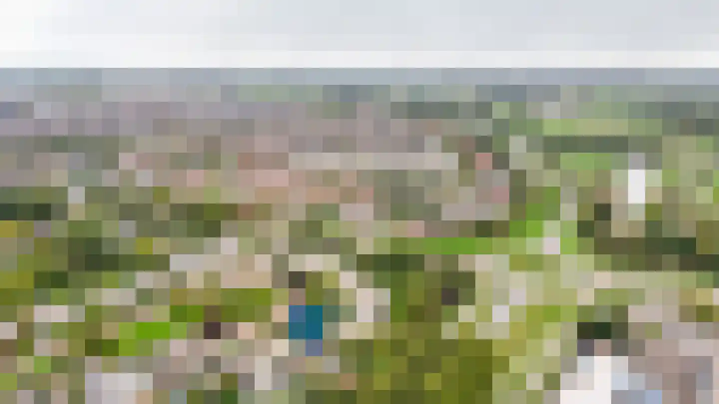 Bomela 14 Zaltbommel thumbnail 59