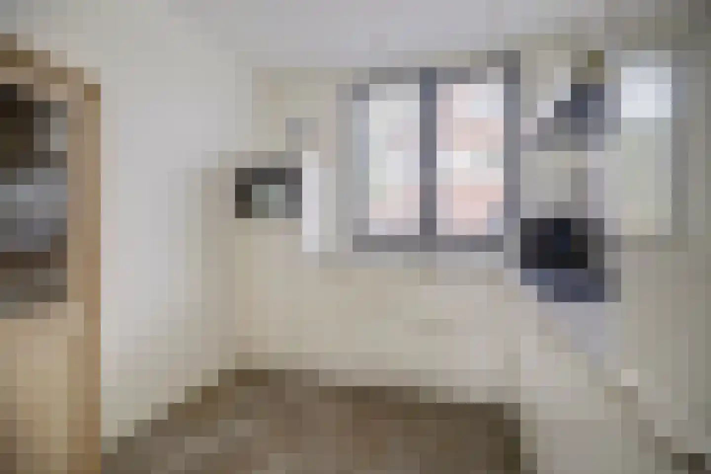 Bomenbeemd 36 Best thumbnail 11