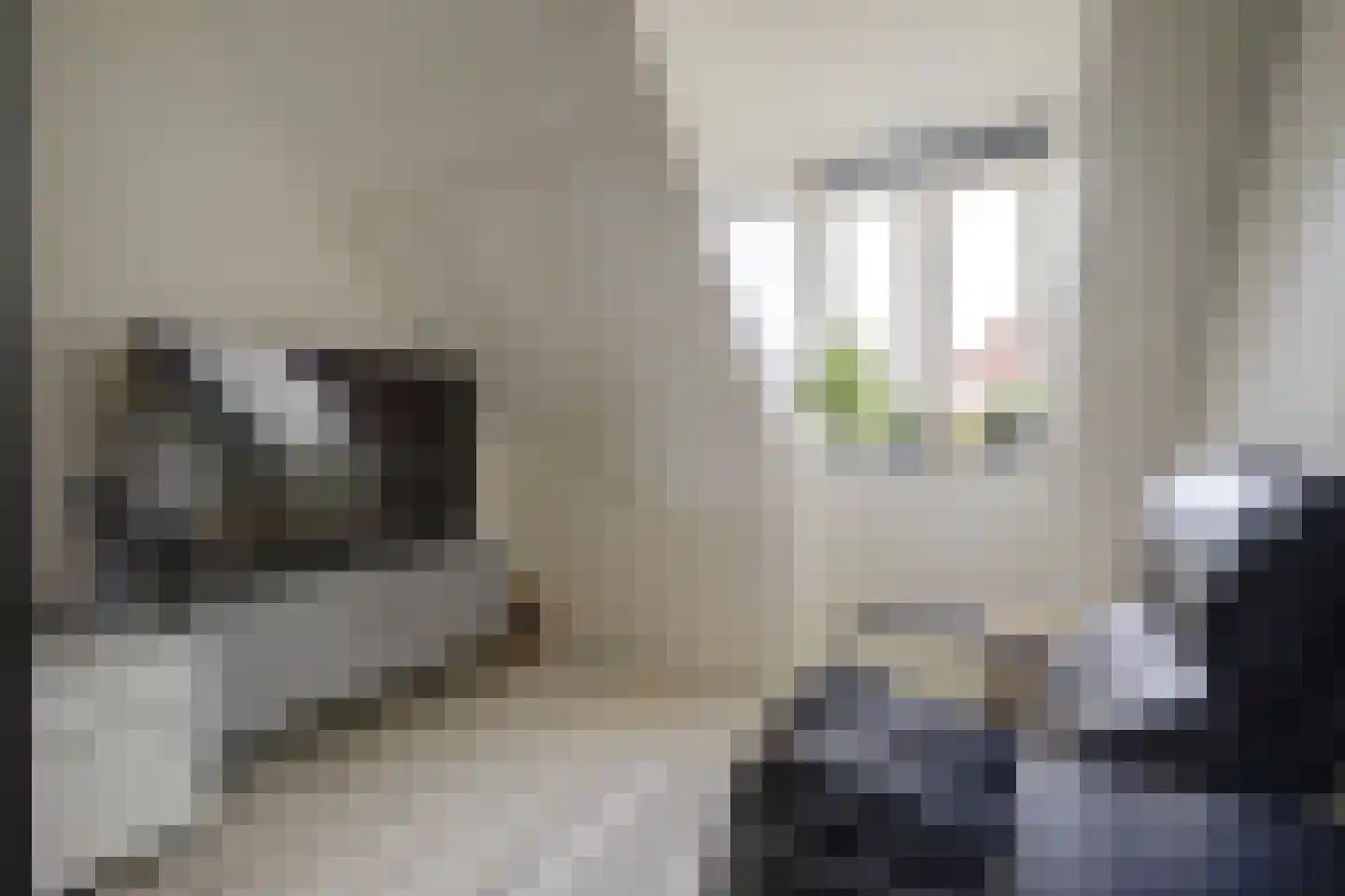 Bomenbeemd 36 Best thumbnail 28