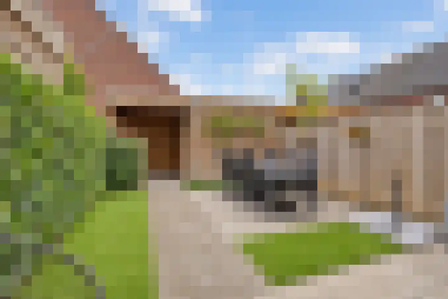 Bomenbeemd 36 Best thumbnail 30