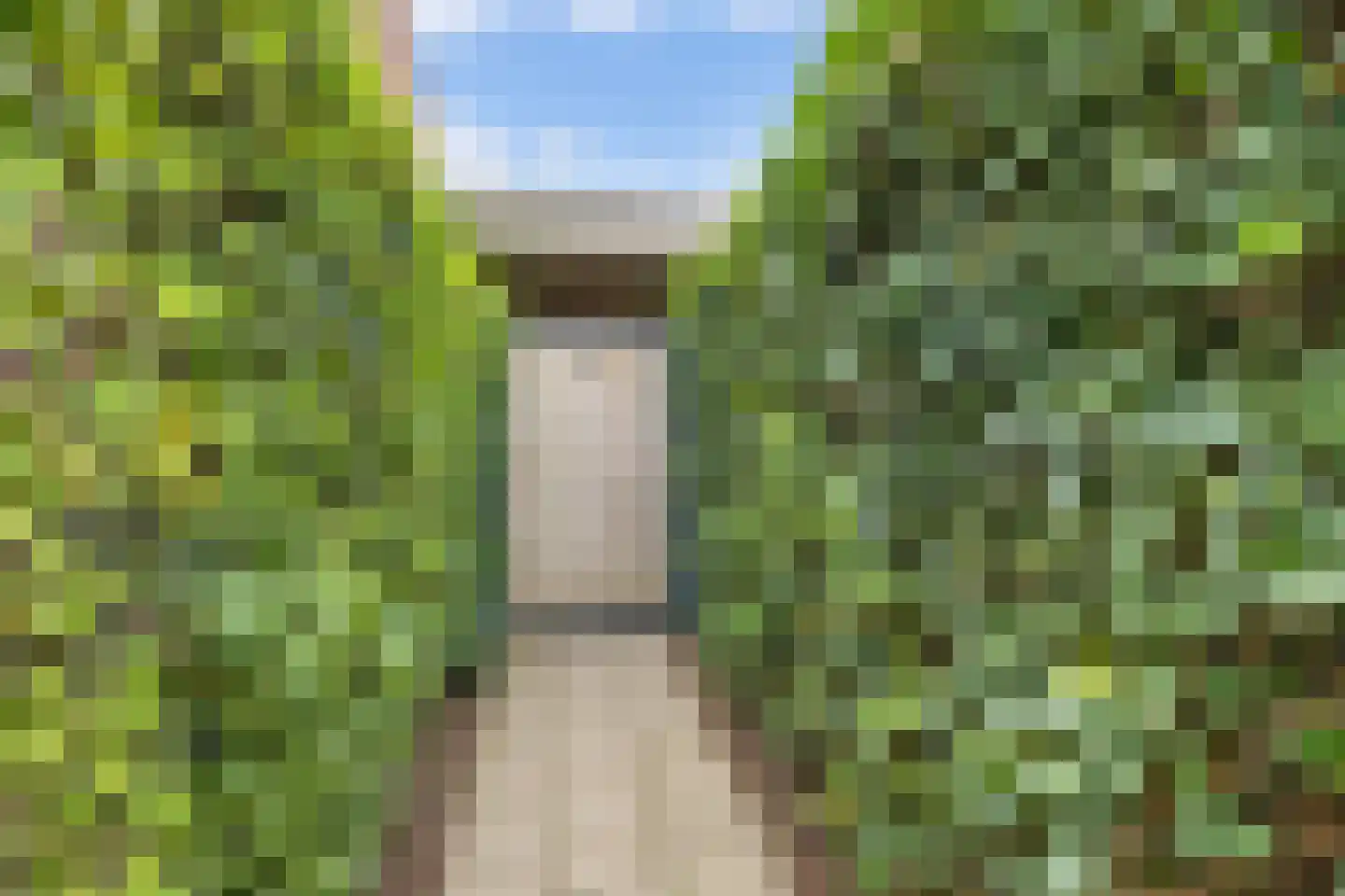 Bomenbeemd 36 Best thumbnail 37