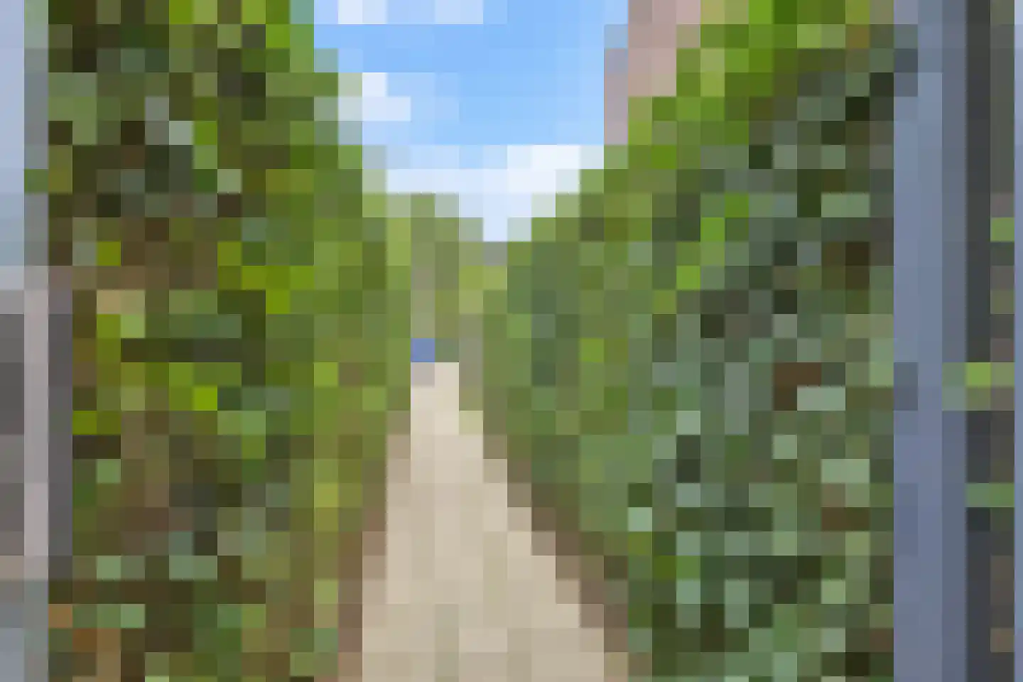 Bomenbeemd 36 Best thumbnail 38