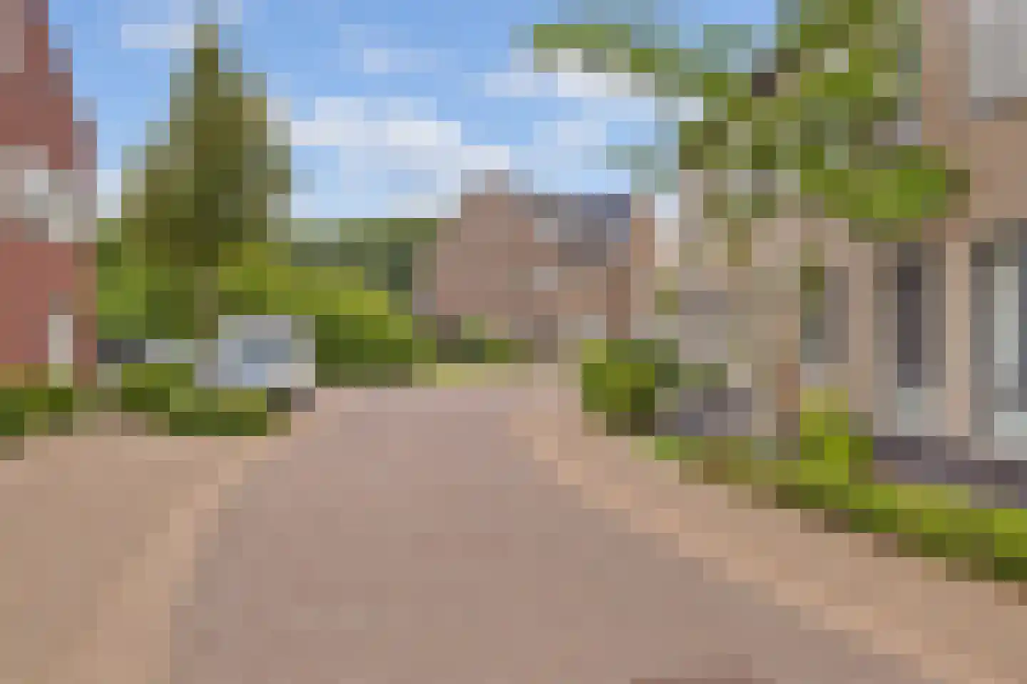 Bomenbeemd 36 Best thumbnail 39
