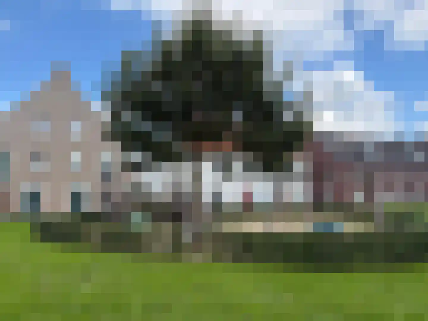 Bomenbeemd 36 Best thumbnail 41
