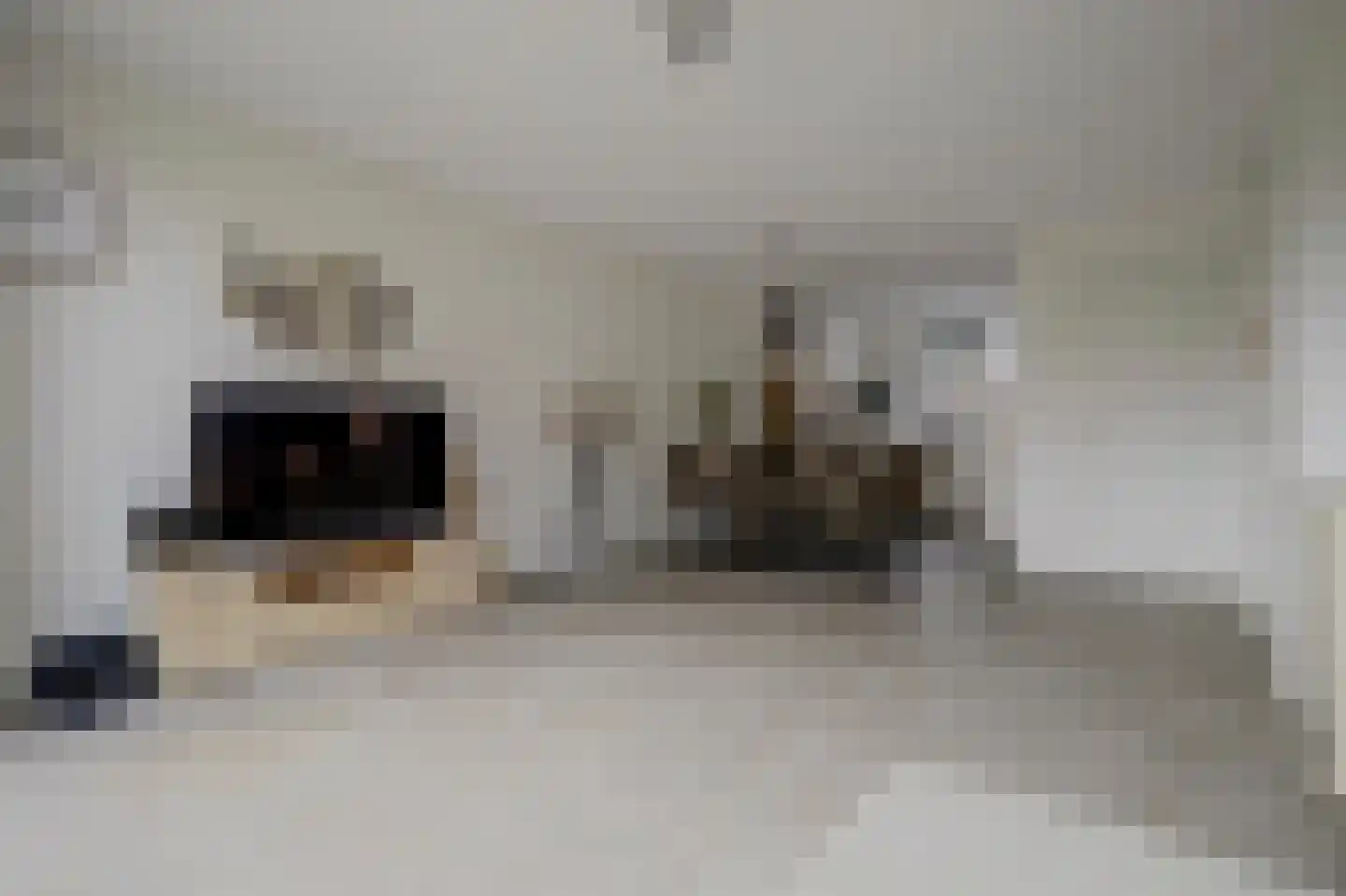 Bomenbeemd 36 Best thumbnail 7