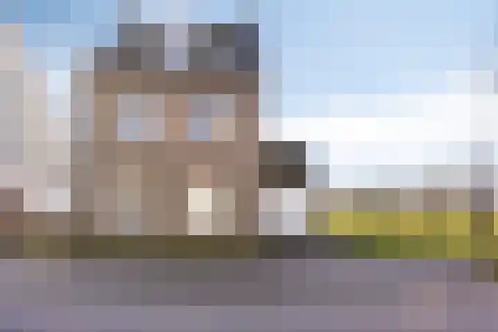 Bomenbeemd 57 Best