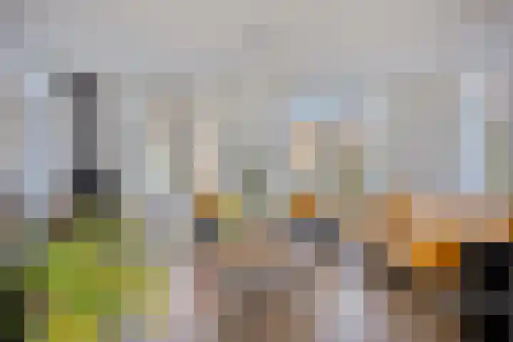 Bomenbeemd 57 Best thumbnail 11