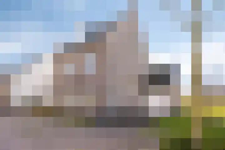 Bomenbeemd 57 Best foto 2