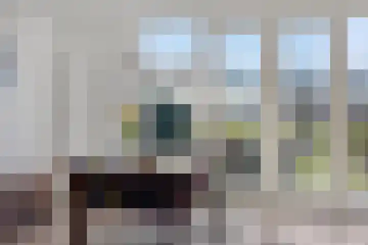 Bomenbeemd 57 Best thumbnail 21