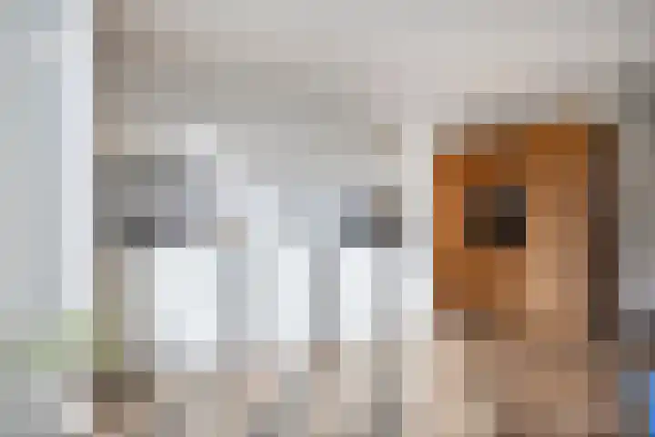 Bomenbeemd 57 Best thumbnail 23