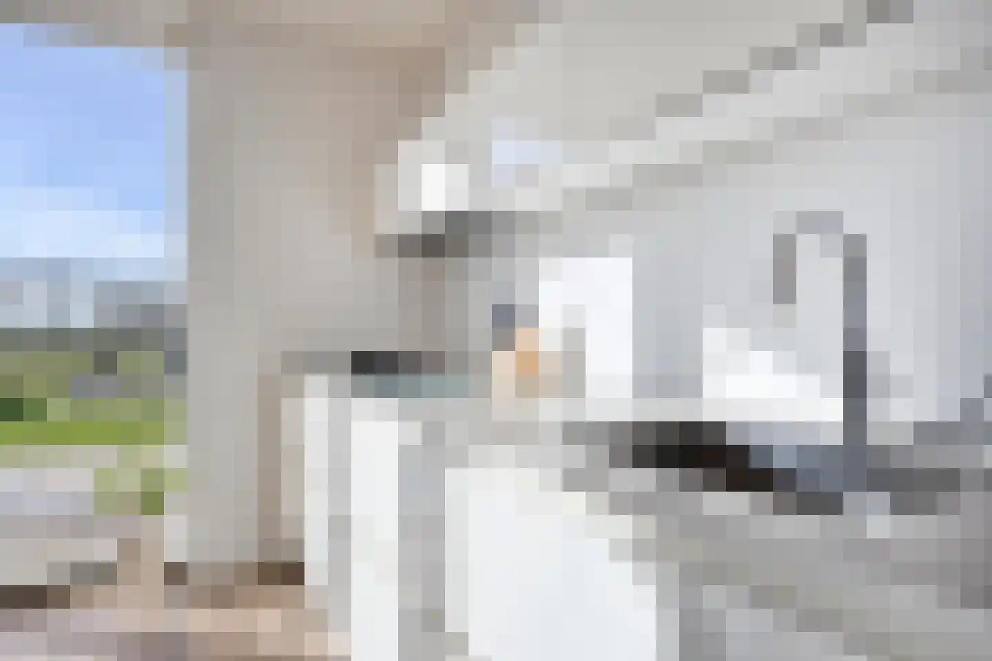 Bomenbeemd 57 Best thumbnail 23