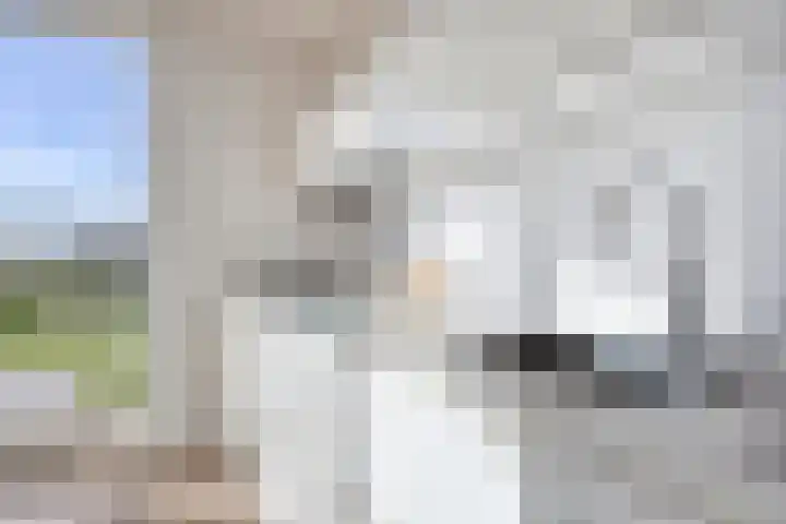 Bomenbeemd 57 Best thumbnail 26