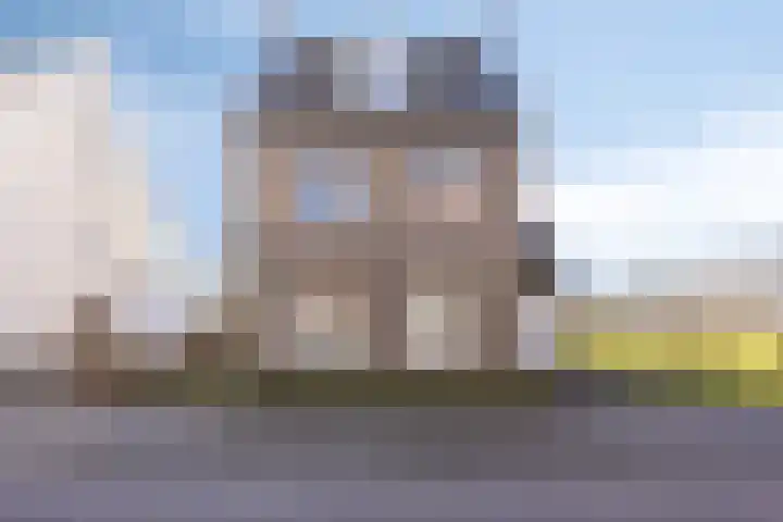 Bomenbeemd 57 Best foto 3