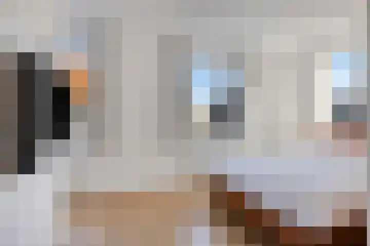 Bomenbeemd 57 Best thumbnail 30