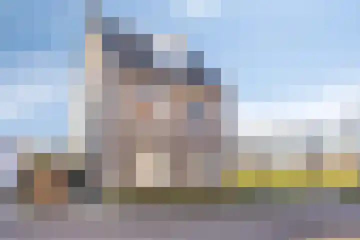 Bomenbeemd 57 Best thumbnail 4