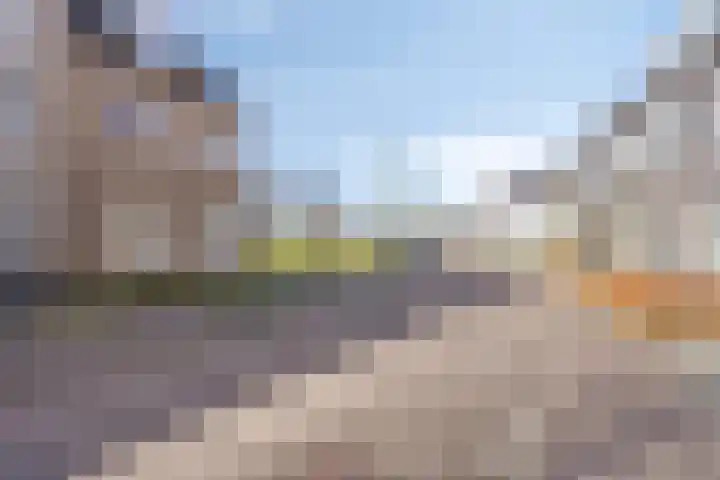 Bomenbeemd 57 Best thumbnail 5