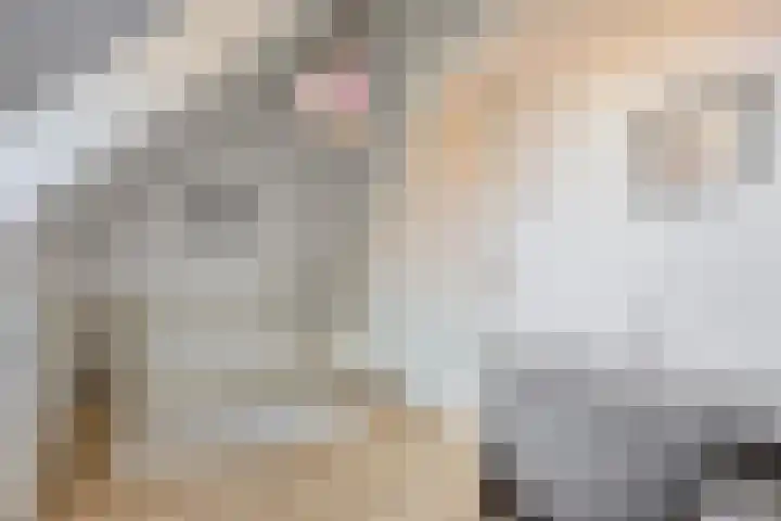 Bomenbeemd 57 Best thumbnail 50