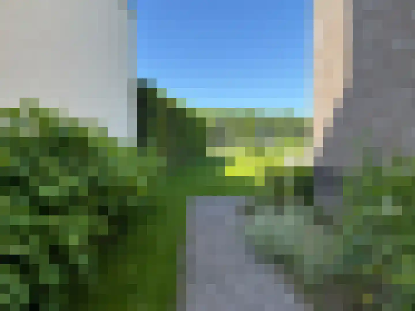 Bomenbeemd 57 Best thumbnail 52