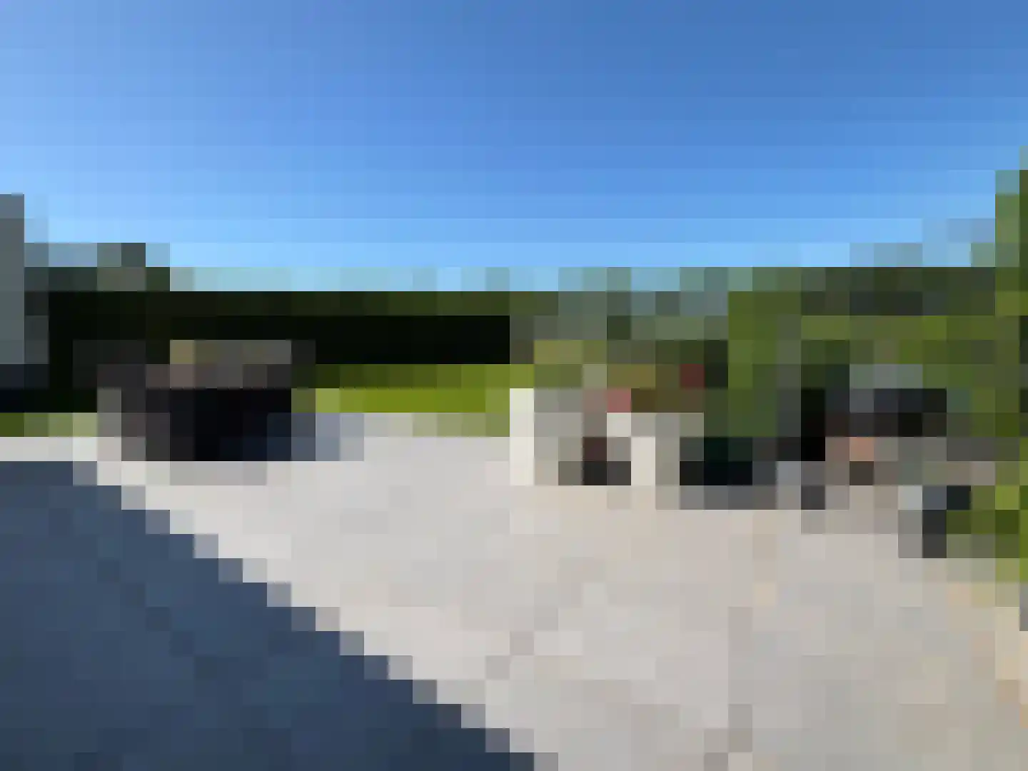 Bomenbeemd 57 Best thumbnail 53