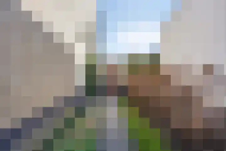 Bomenbeemd 57 Best thumbnail 54
