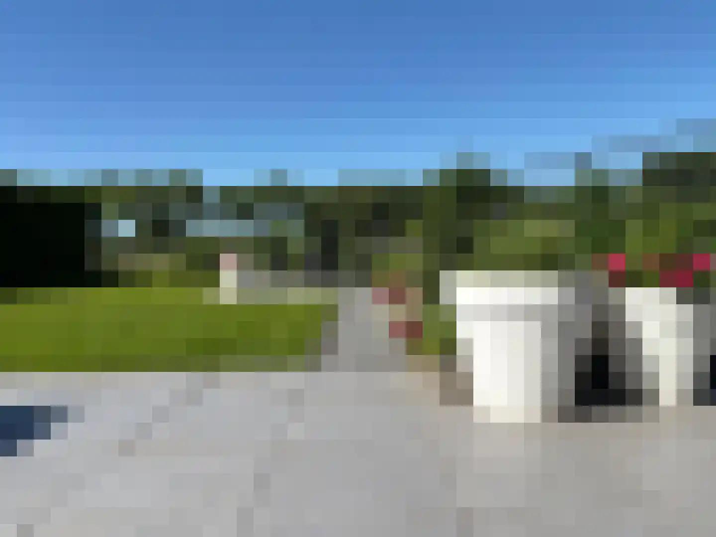 Bomenbeemd 57 Best thumbnail 55