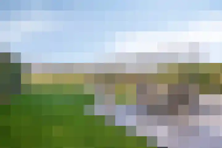 Bomenbeemd 57 Best thumbnail 55