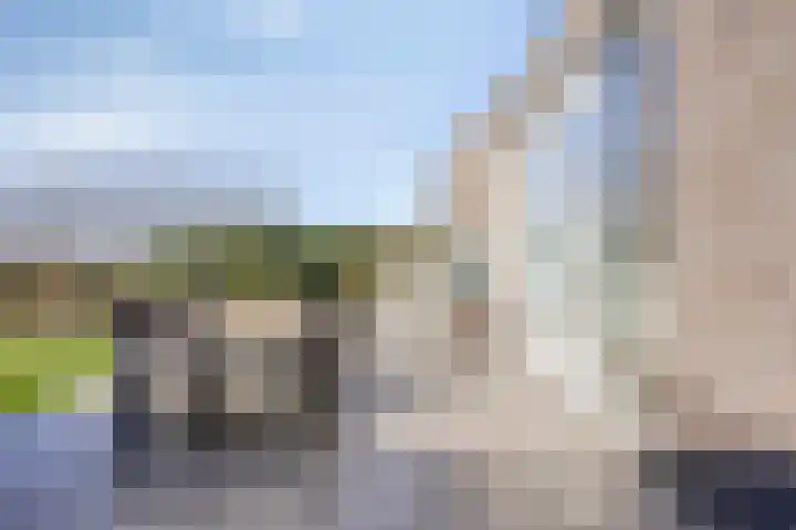 Bomenbeemd 57 Best thumbnail 56