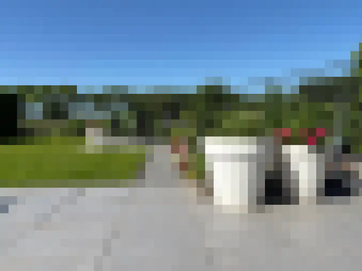 Bomenbeemd 57 Best thumbnail 57