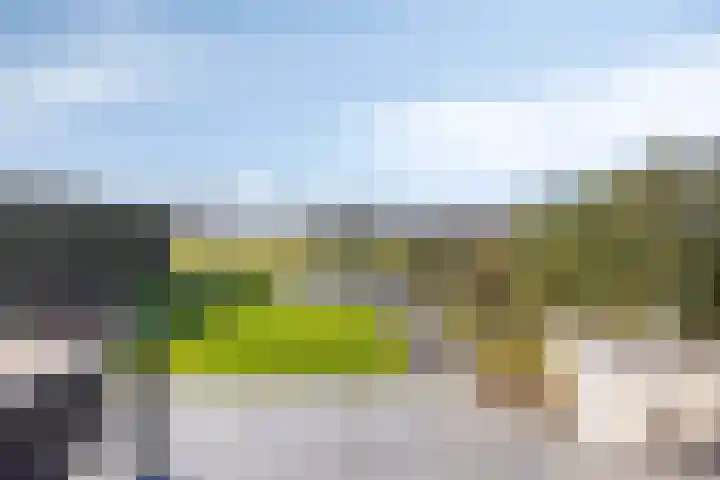 Bomenbeemd 57 Best thumbnail 57