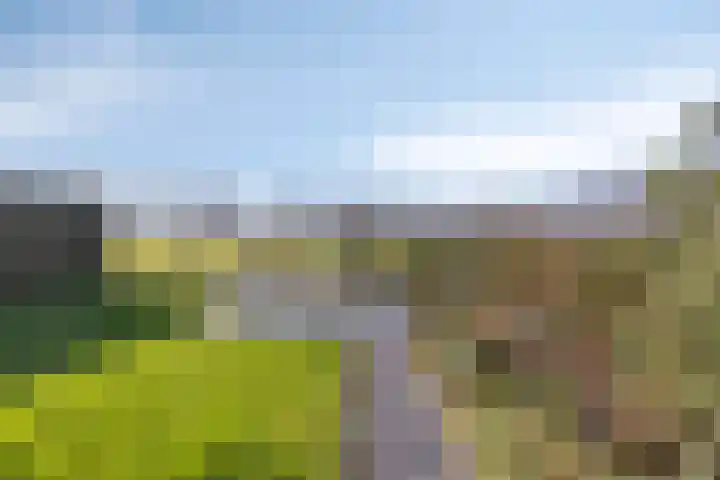 Bomenbeemd 57 Best thumbnail 59