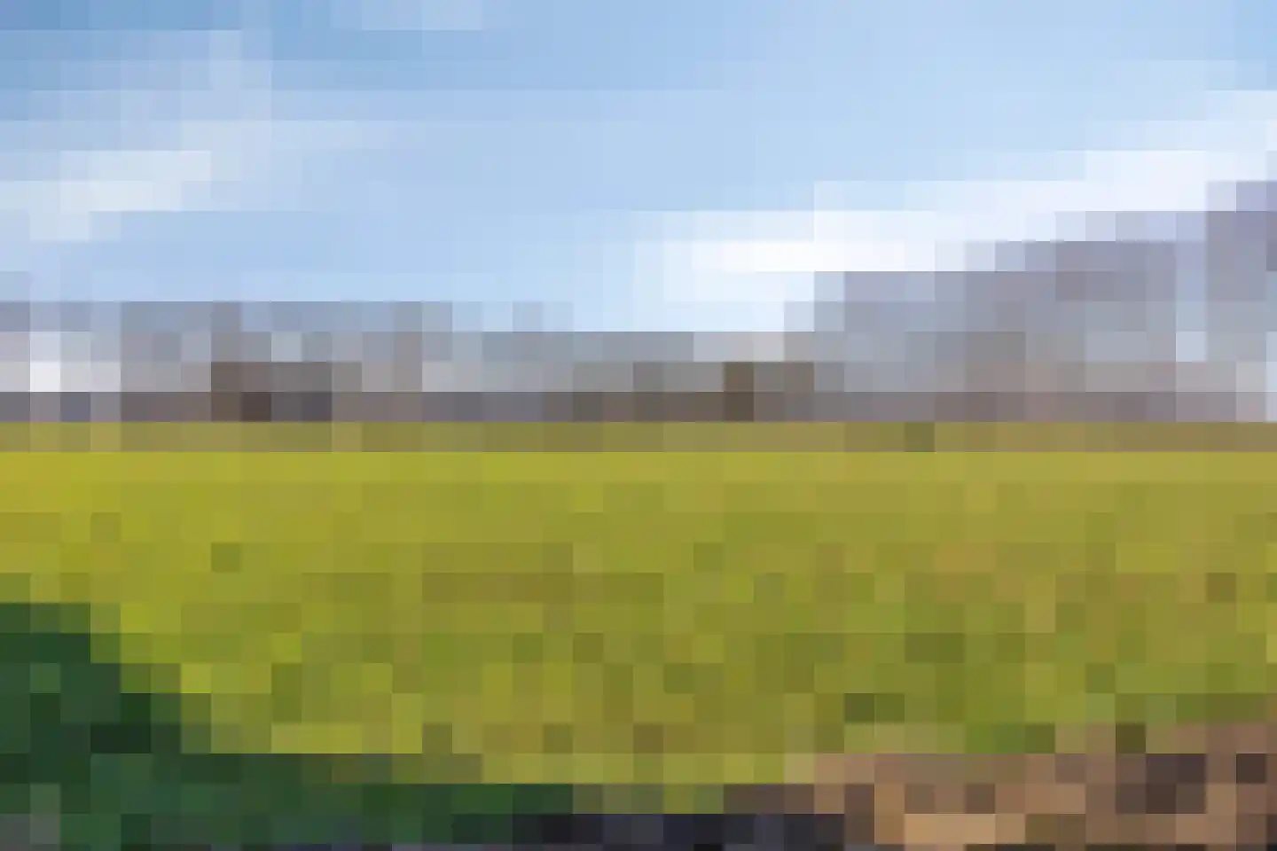 Bomenbeemd 57 Best thumbnail 59