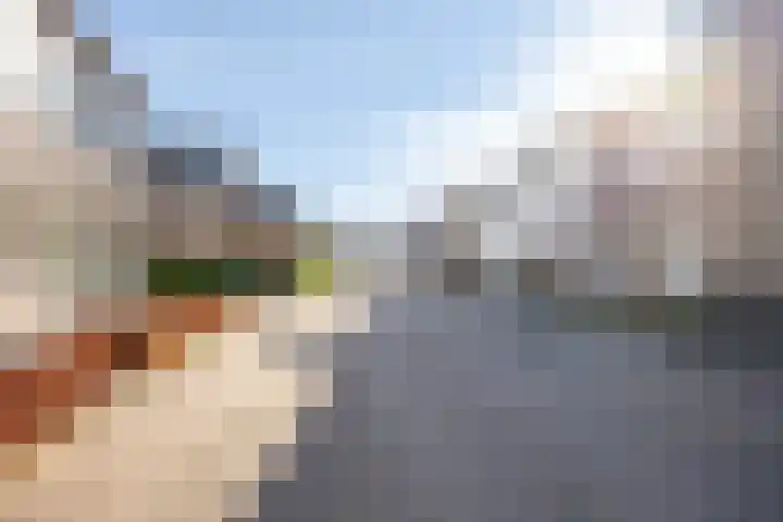Bomenbeemd 57 Best thumbnail 6
