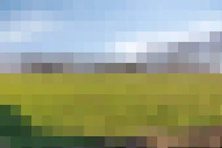 Bomenbeemd 57 Best thumbnail 61