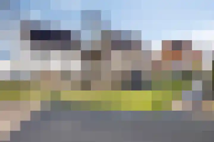 Bomenbeemd 57 Best thumbnail 62