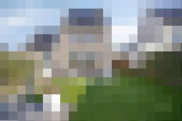 Bomenbeemd 57 Best thumbnail 63