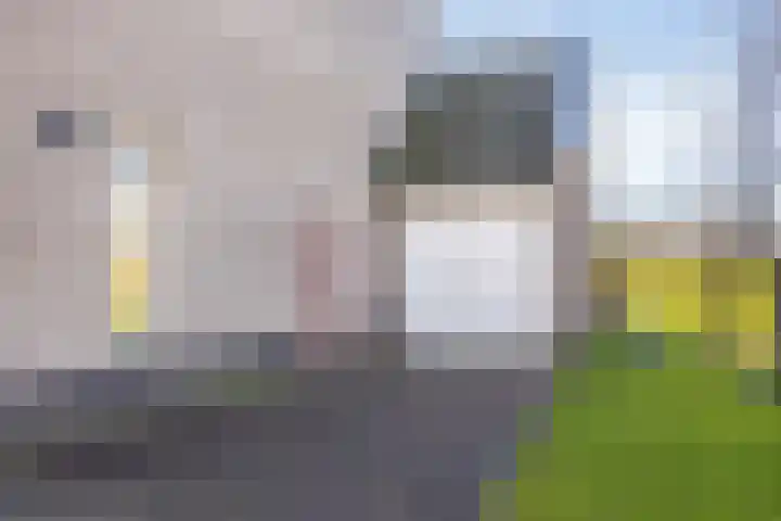 Bomenbeemd 57 Best thumbnail 7