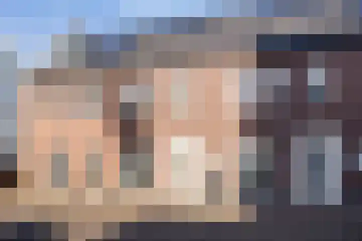 Bomenbeemd 6 in Best