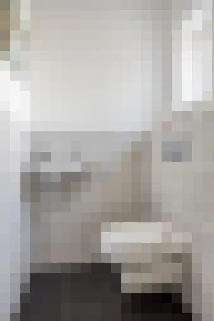 Bomenbeemd 6 Best thumbnail 10