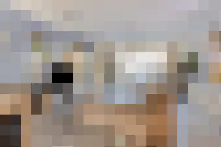 Bomenbeemd 6 Best thumbnail 11