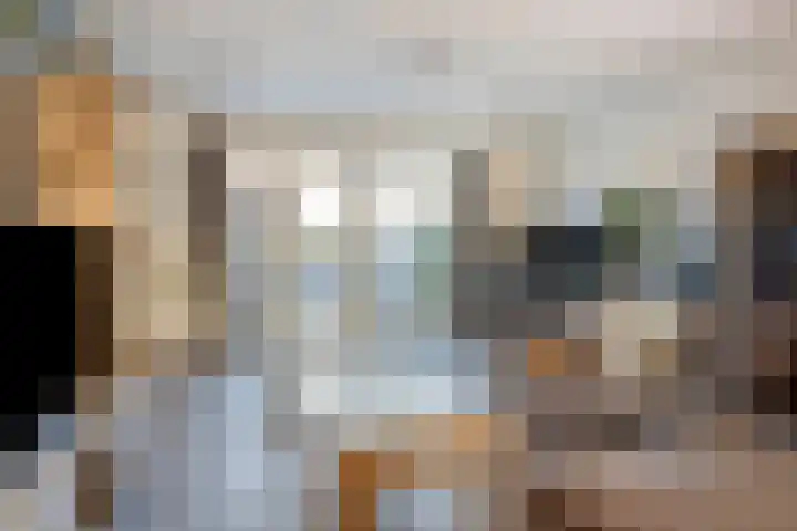 Bomenbeemd 6 Best thumbnail 12
