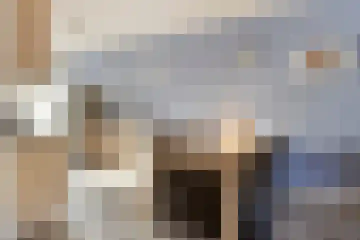 Bomenbeemd 6 Best thumbnail 14