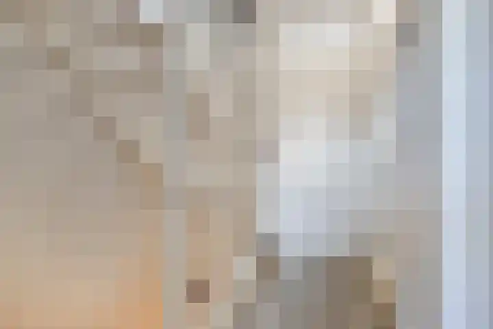Bomenbeemd 6 Best thumbnail 17