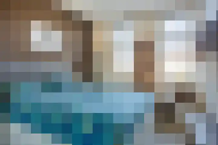 Bomenbeemd 6 Best thumbnail 18