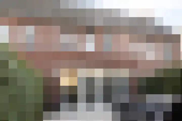 Bomenbeemd 6 Best thumbnail 30