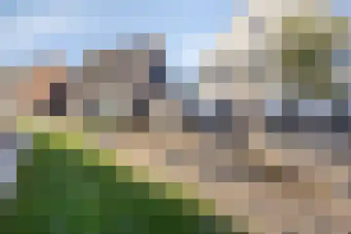 Bomenbeemd 6 Best thumbnail 32