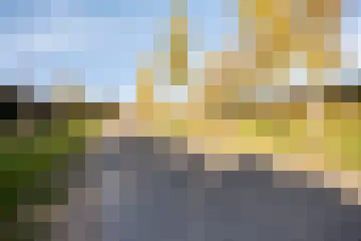 Bomenbeemd 6 Best thumbnail 33