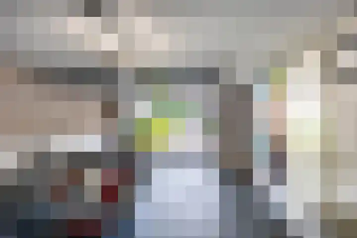 Bomenbeemd 6 Best thumbnail 35