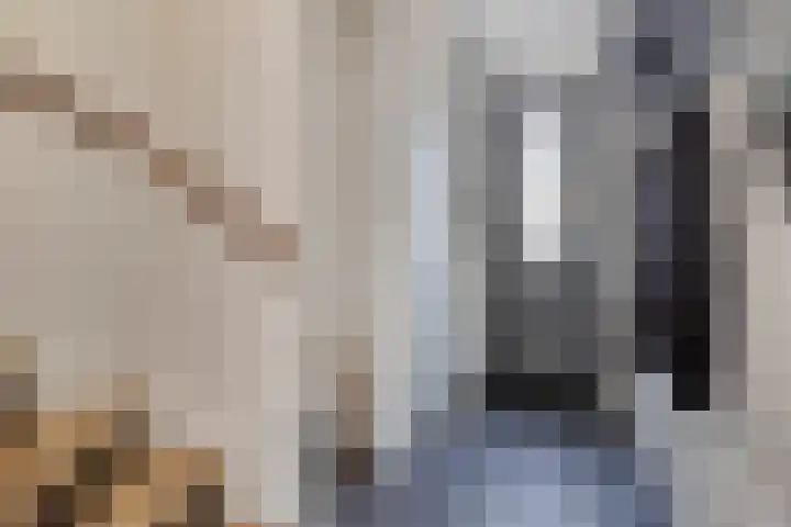 Bomenbeemd 6 Best thumbnail 8