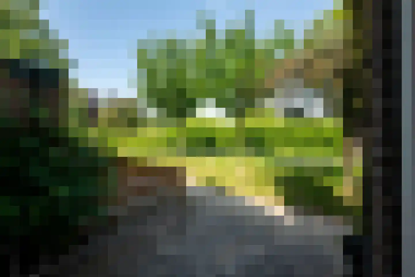 Bomendijk 13 Rozenburg thumbnail 39
